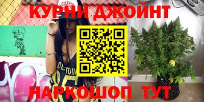 эйфоретик Донской