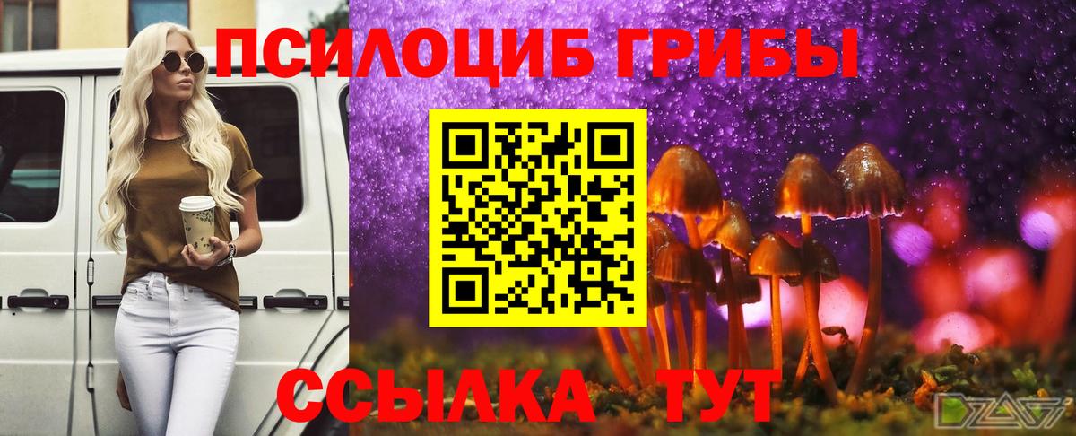 Галлюциногенные грибы Psilocybe  Псилоцибиновые грибы MAGIC MUSHROOMS  Магадан  Вход с VPN 