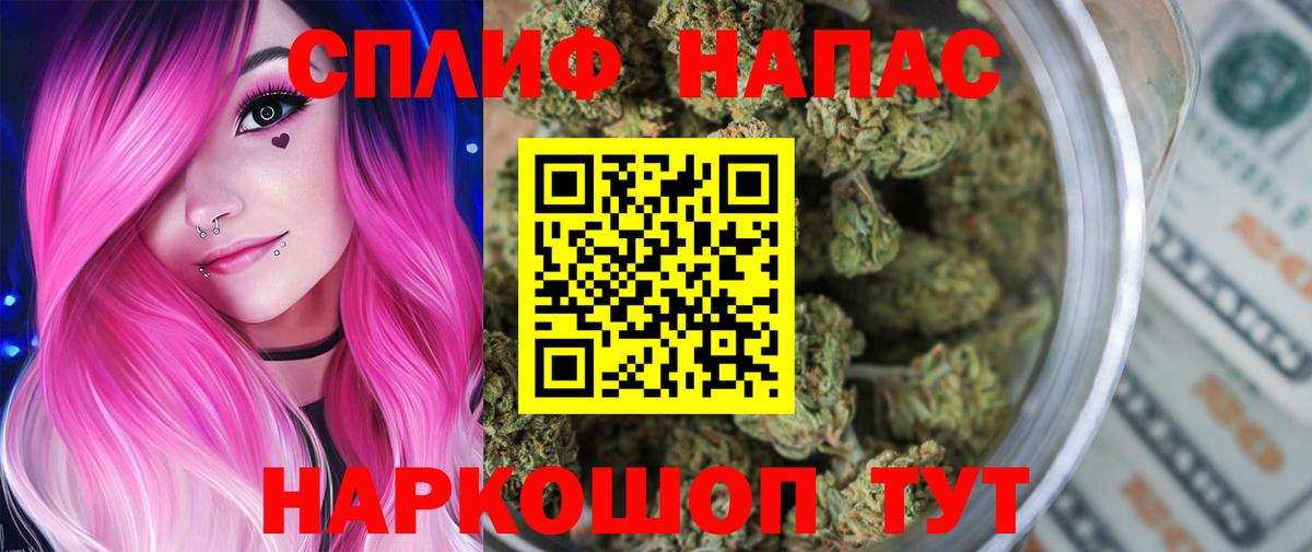 Бошки Шишки план Магадан